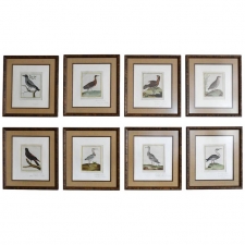 Set of Eight Hand-Colored Bird Engravings by Francois Nicolas Martinet