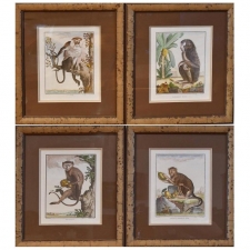 Set of 4 Framed 18th Century Hand-Colored Engravings of Monkeys by G. Buffon